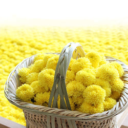 TOP Level Organic Dry Chrysanthemum Flower Tea 30pcs