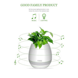 Music Flower Pot, Wireless Bluetooth Speaker, LED Light Smart Touch Music Flower Pot by, Multicolor Night Light, Play Piano Music on a real plant with colorful LED lights
